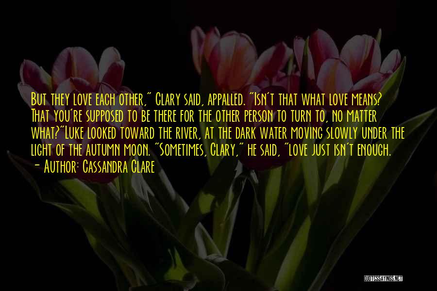 The Dark Matter Of Love Quotes By Cassandra Clare