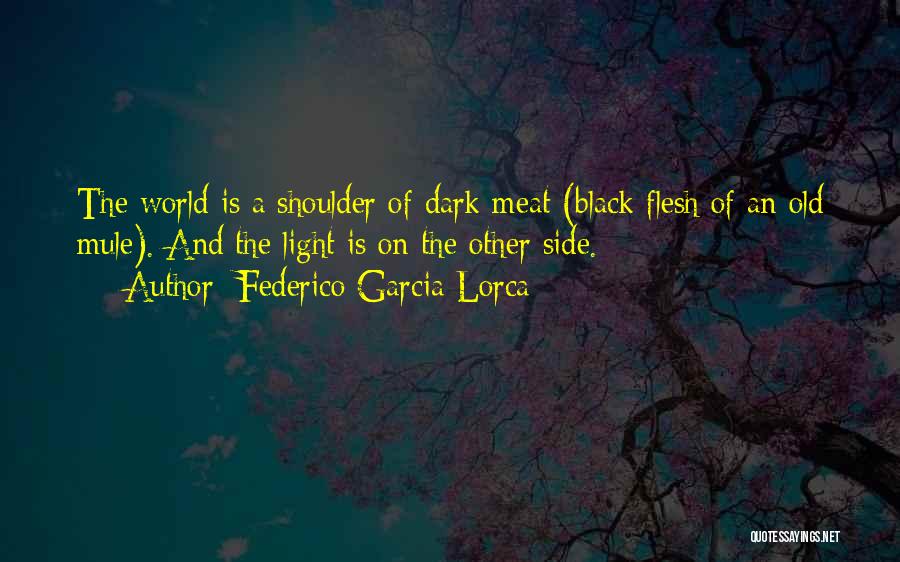 The Dark Side Quotes By Federico Garcia Lorca