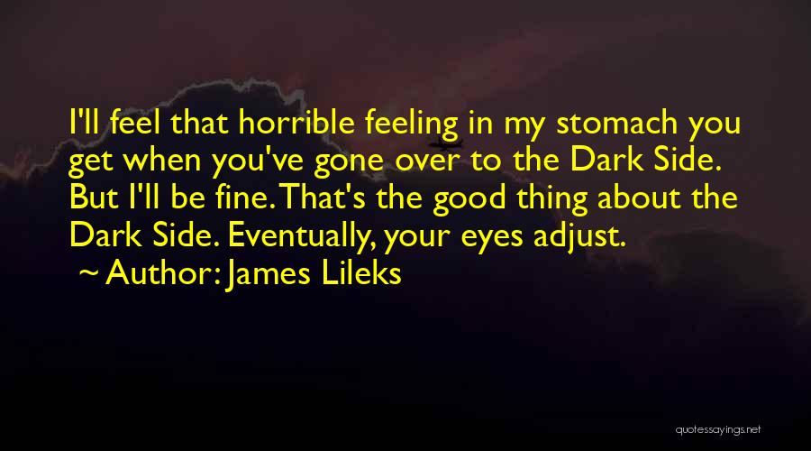 The Dark Side Quotes By James Lileks