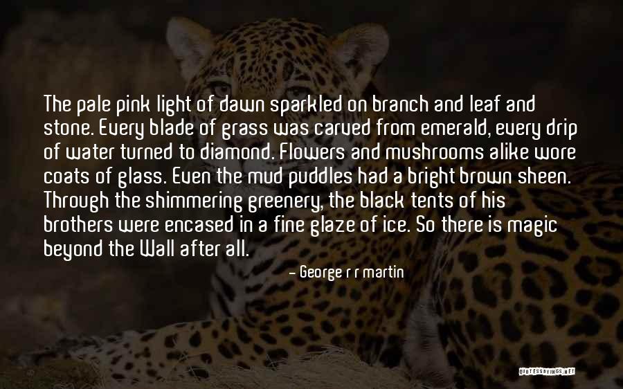 The Dawn Wall Quotes By George R R Martin The Dawn Wall Quotes By George R R Martin