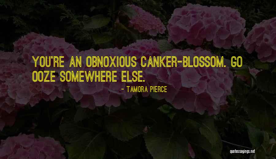 The Day After Birthday Quotes By Tamora Pierce The Day After Birthday Quotes By Tamora Pierce