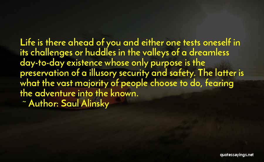 The Day Ahead Quotes By Saul Alinsky