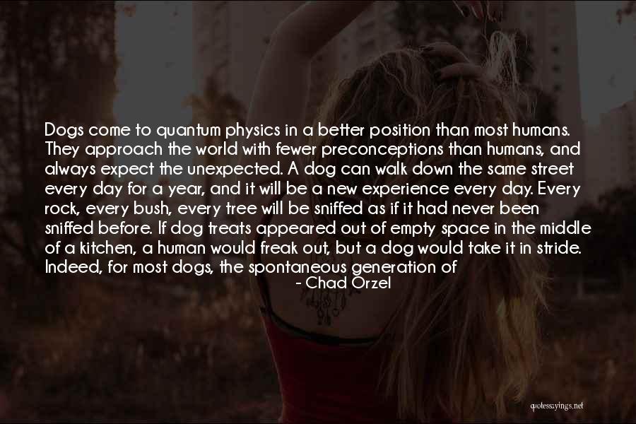 The Day Before New Year Quotes By Chad Orzel The Day Before New Year Quotes By Chad Orzel