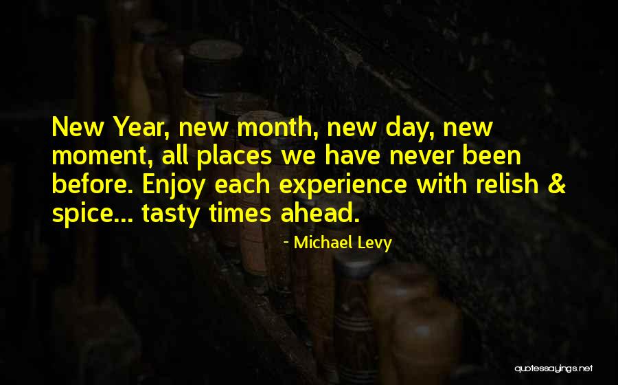 The Day Before New Year Quotes By Michael Levy The Day Before New Year Quotes By Michael Levy