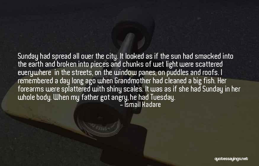 The Day Tuesday Quotes By Ismail Kadare The Day Tuesday Quotes By Ismail Kadare