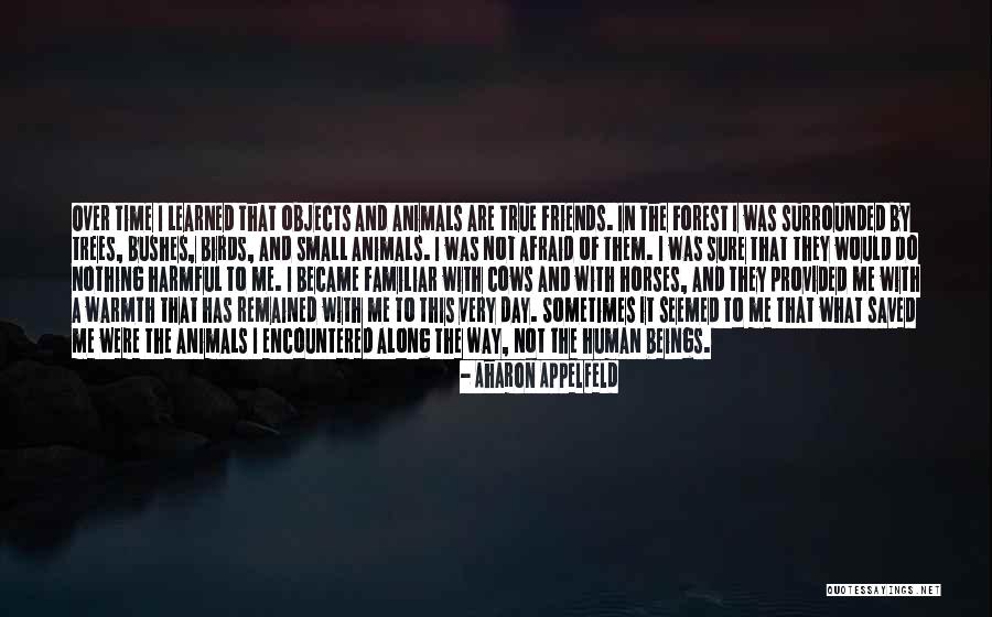 The Day We Became Friends Quotes By Aharon Appelfeld The Day We Became Friends Quotes By Aharon Appelfeld