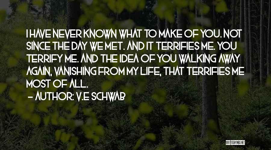 The Day We Met Quotes By V.E Schwab