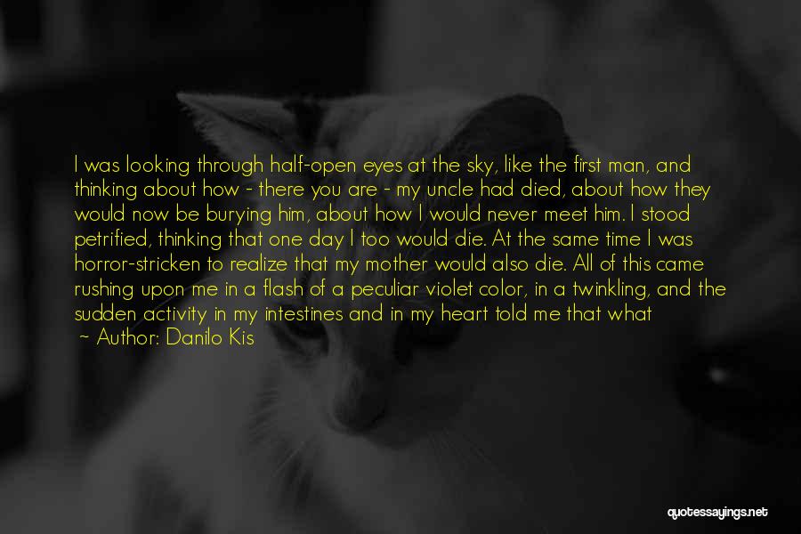 The Day You Died Quotes By Danilo Kis