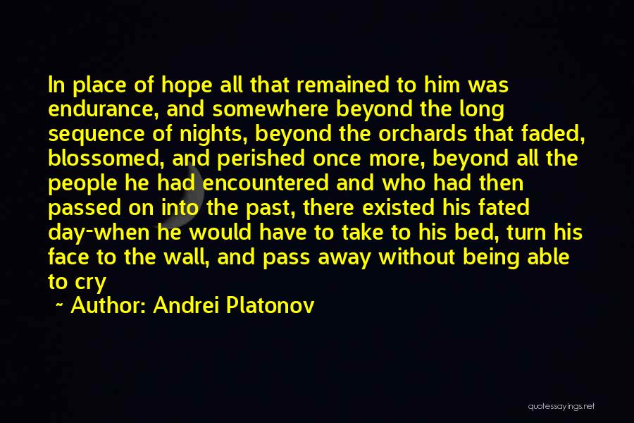 The Day You Passed Away Quotes By Andrei Platonov