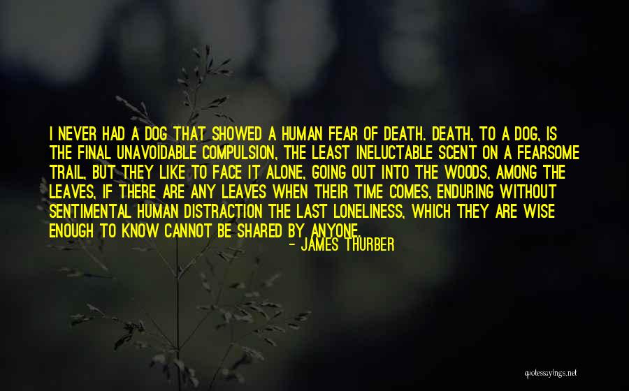 The Death Of A Dog Quotes By James Thurber The Death Of A Dog Quotes By James Thurber