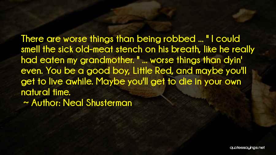 The Death Of My Grandmother Quotes By Neal Shusterman