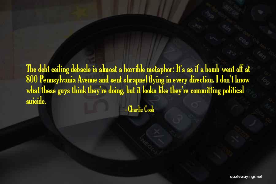 The Debt Ceiling Quotes By Charlie Cook