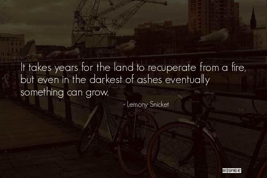 The Debutante 18th Birthday Quotes By Lemony Snicket The Debutante 18th Birthday Quotes By Lemony Snicket