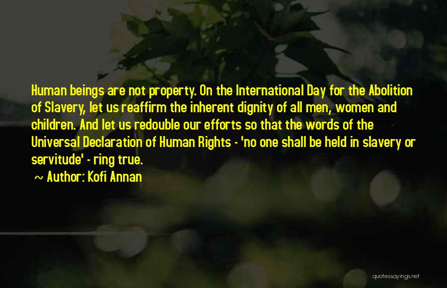 The Declaration Of Human Rights Quotes By Kofi Annan
