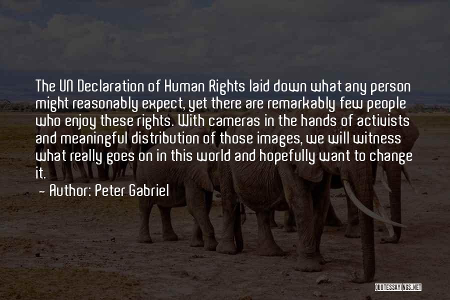 The Declaration Of Human Rights Quotes By Peter Gabriel