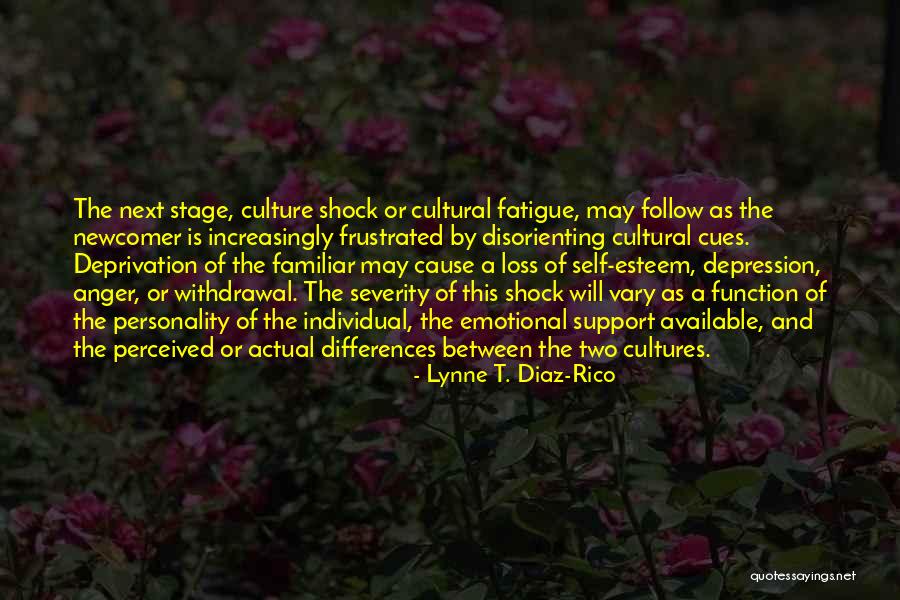 The Depression Quotes By Lynne T. Diaz-Rico