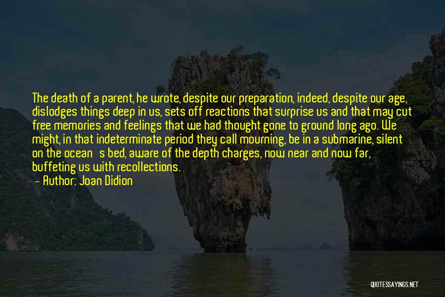 The Depth Of The Ocean Quotes By Joan Didion