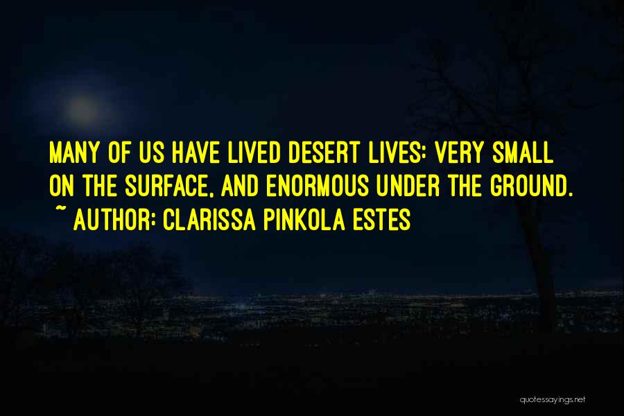 The Desert Quotes By Clarissa Pinkola Estes