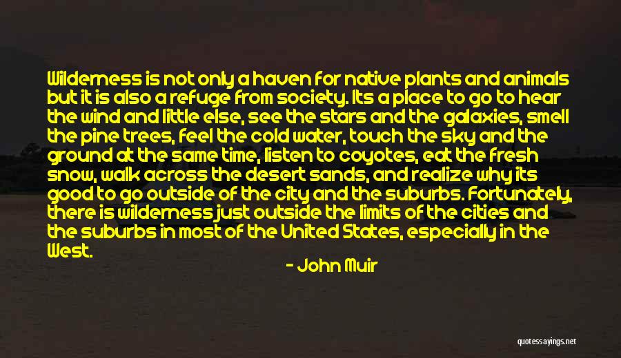 The Desert Sky Quotes By John Muir