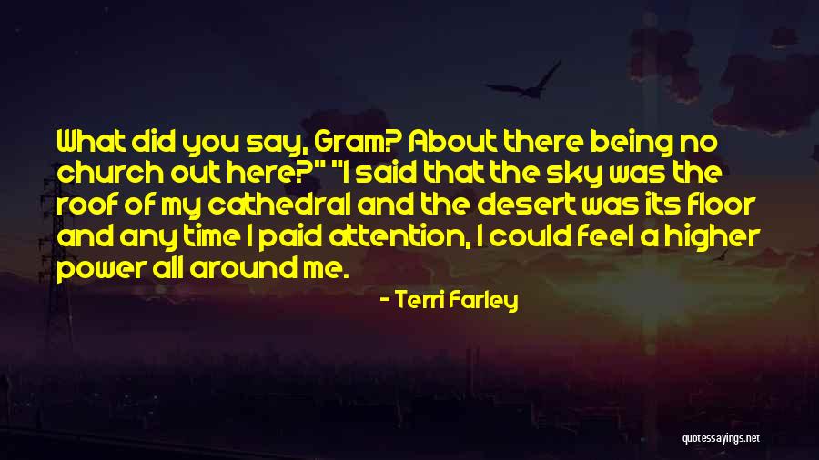 The Desert Sky Quotes By Terri Farley