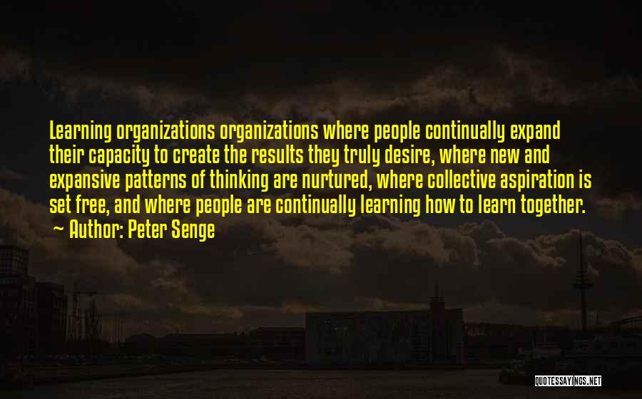 The Desire To Learn Quotes By Peter Senge