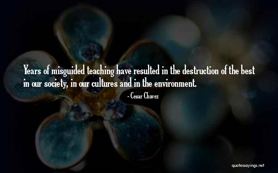 The Destruction Of The Environment Quotes By Cesar Chavez The Destruction Of The Environment Quotes By Cesar Chavez