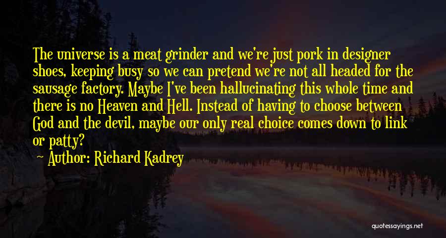 The Devil And Hell Quotes By Richard Kadrey