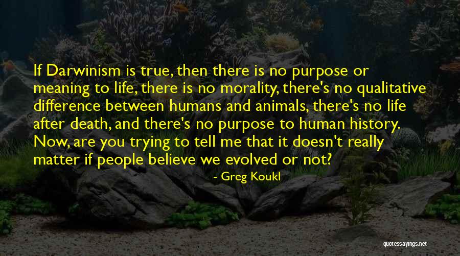 The Difference Between Humans And Animals Quotes By Greg Koukl The Difference Between Humans And Animals Quotes By Greg Koukl