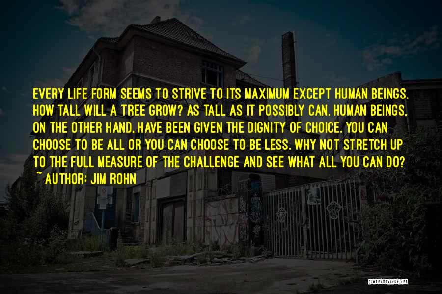 The Dignity Of Human Life Quotes By Jim Rohn
