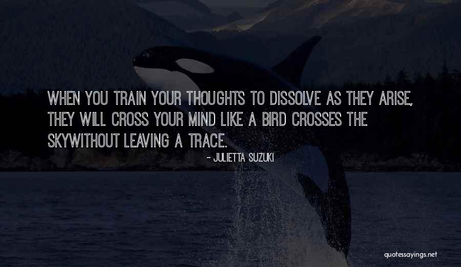 The Dissolve Quotes By Julietta Suzuki The Dissolve Quotes By Julietta Suzuki