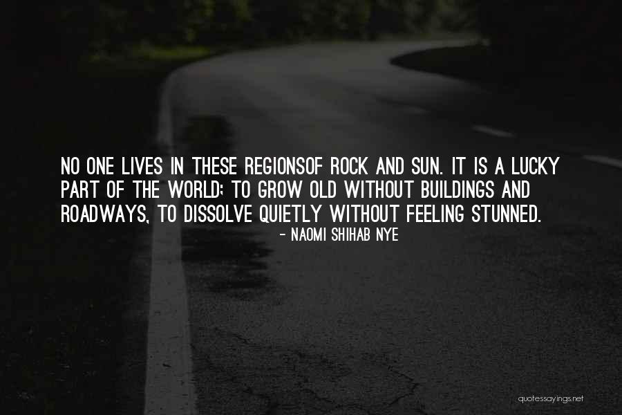 The Dissolve Quotes By Naomi Shihab Nye The Dissolve Quotes By Naomi Shihab Nye