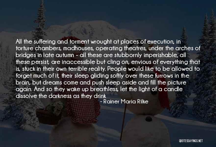 The Dissolve Quotes By Rainer Maria Rilke The Dissolve Quotes By Rainer Maria Rilke