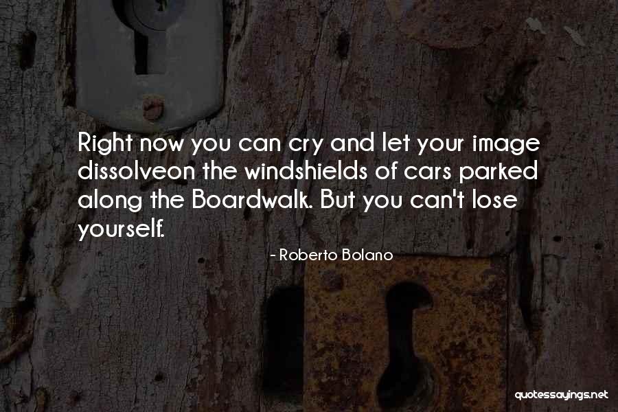 The Dissolve Quotes By Roberto Bolano The Dissolve Quotes By Roberto Bolano