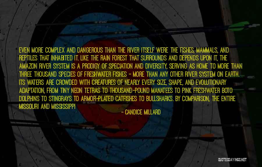 The Diversity Of America Quotes By Candice Millard The Diversity Of America Quotes By Candice Millard