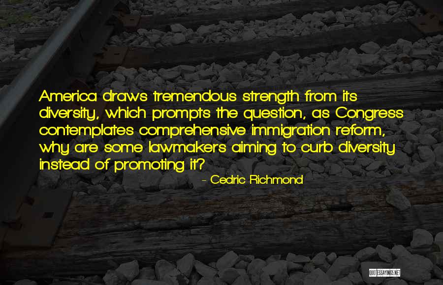 The Diversity Of America Quotes By Cedric Richmond The Diversity Of America Quotes By Cedric Richmond