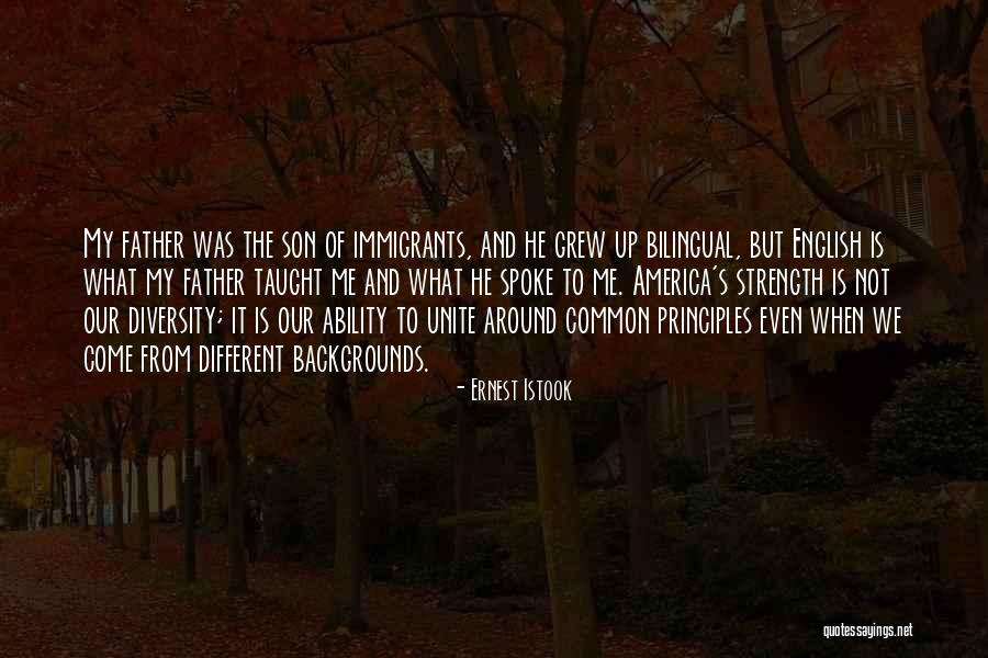 The Diversity Of America Quotes By Ernest Istook The Diversity Of America Quotes By Ernest Istook