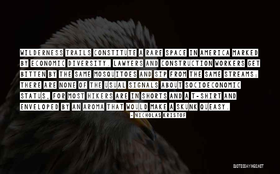 The Diversity Of America Quotes By Nicholas Kristof The Diversity Of America Quotes By Nicholas Kristof