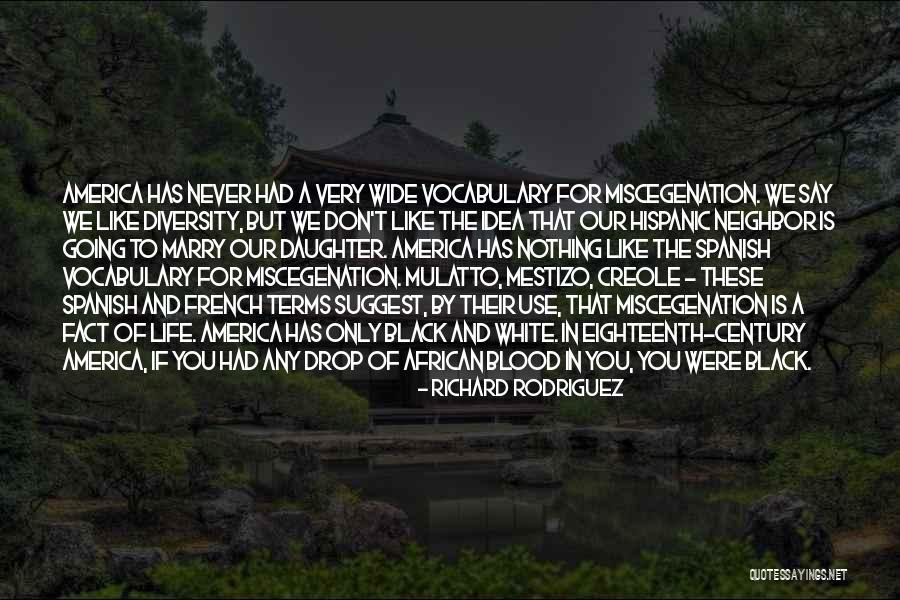 The Diversity Of America Quotes By Richard Rodriguez The Diversity Of America Quotes By Richard Rodriguez