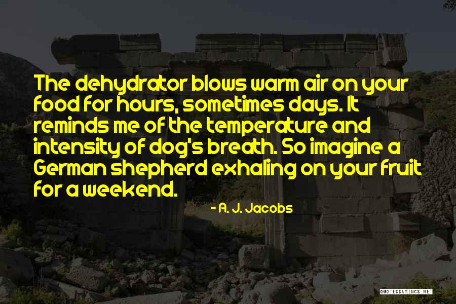 The Dog Days Quotes By A. J. Jacobs The Dog Days Quotes By A. J. Jacobs