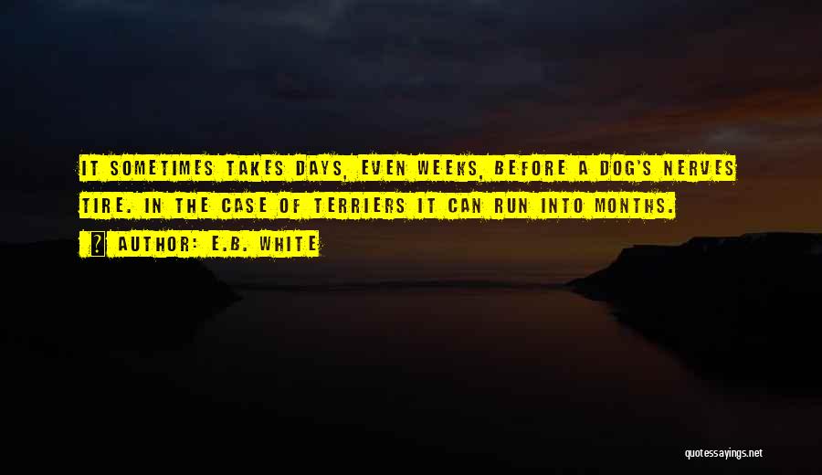 The Dog Days Quotes By E.B. White