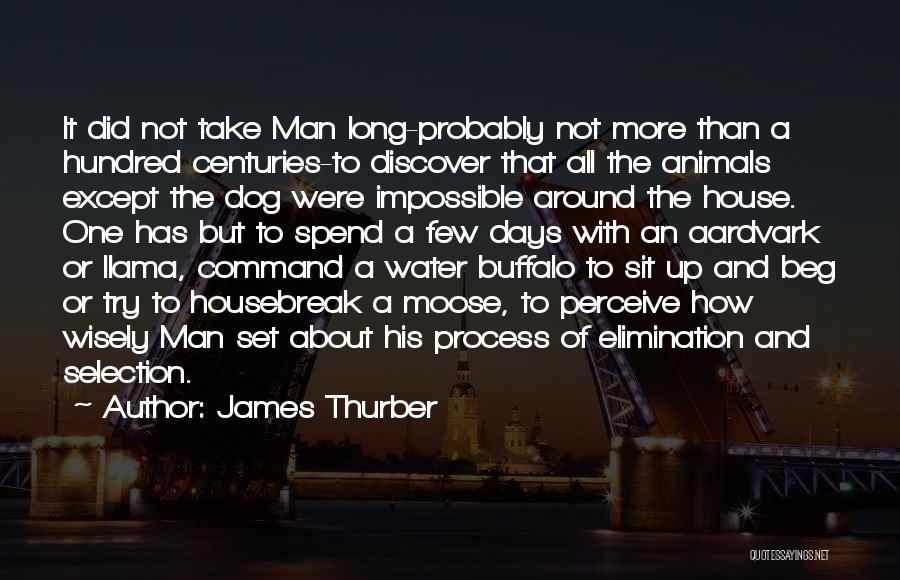 The Dog Days Quotes By James Thurber