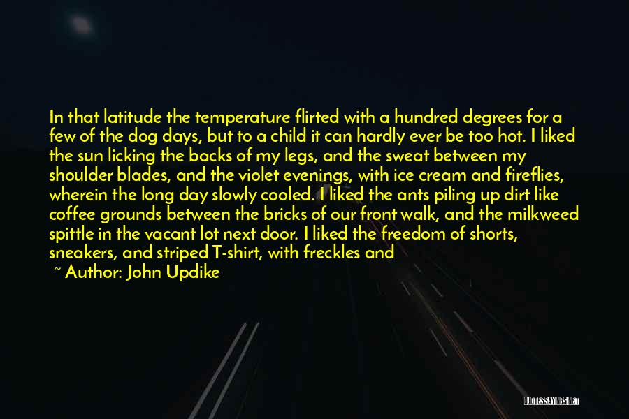 The Dog Days Quotes By John Updike