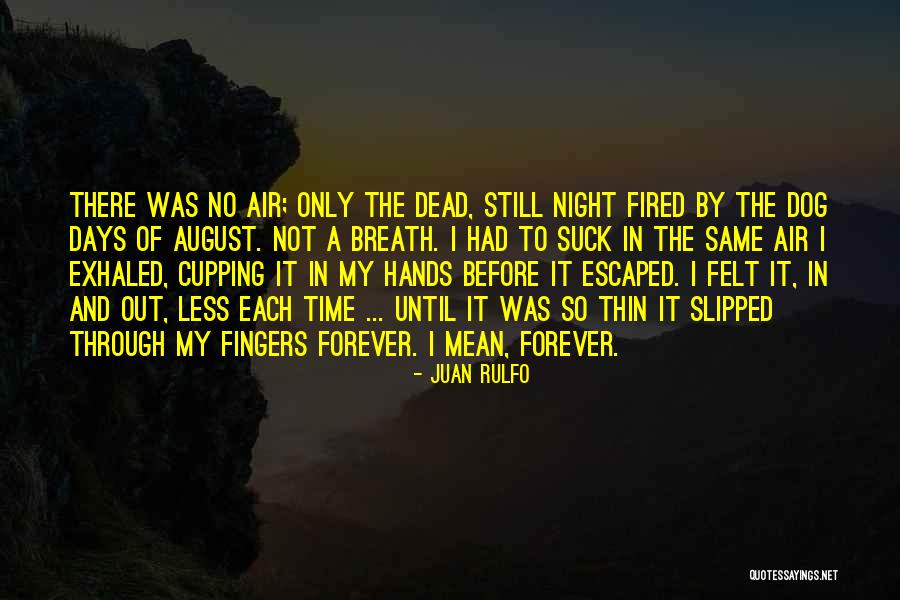 The Dog Days Quotes By Juan Rulfo