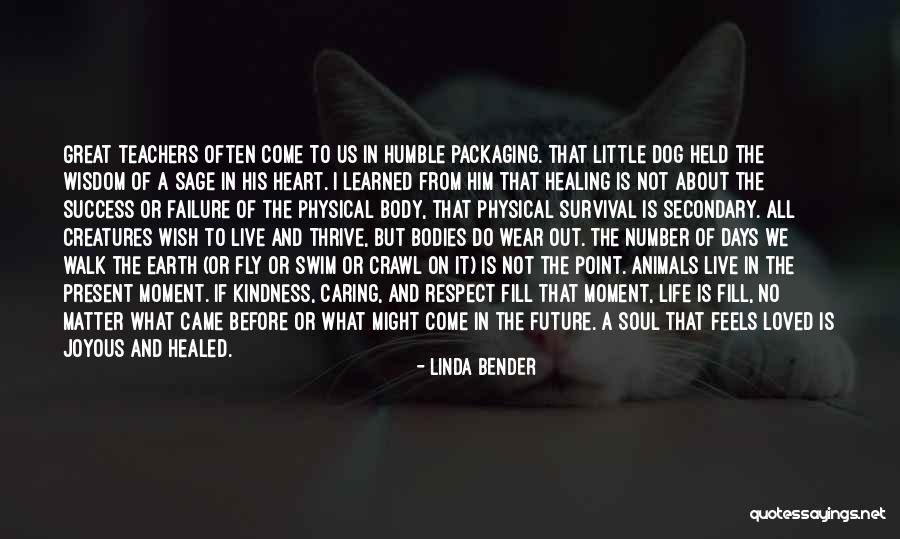 The Dog Days Quotes By Linda Bender The Dog Days Quotes By Linda Bender