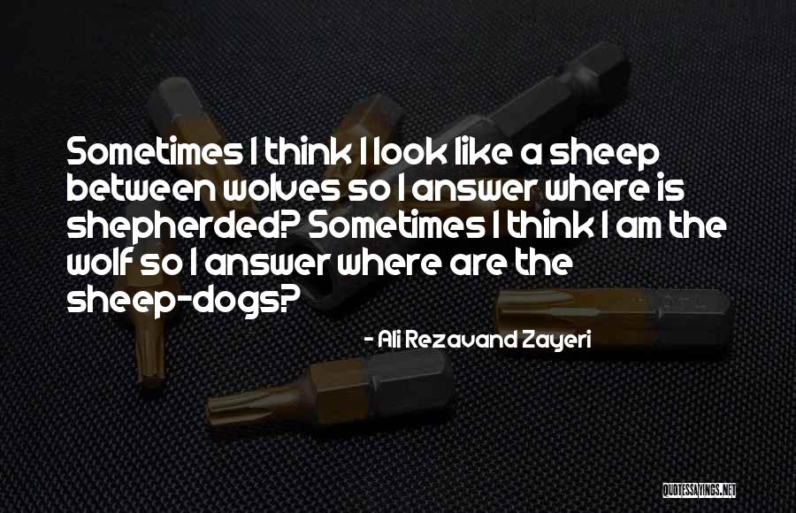 The Dogs And The Wolves Quotes By Ali Rezavand Zayeri The Dogs And The Wolves Quotes By Ali Rezavand Zayeri