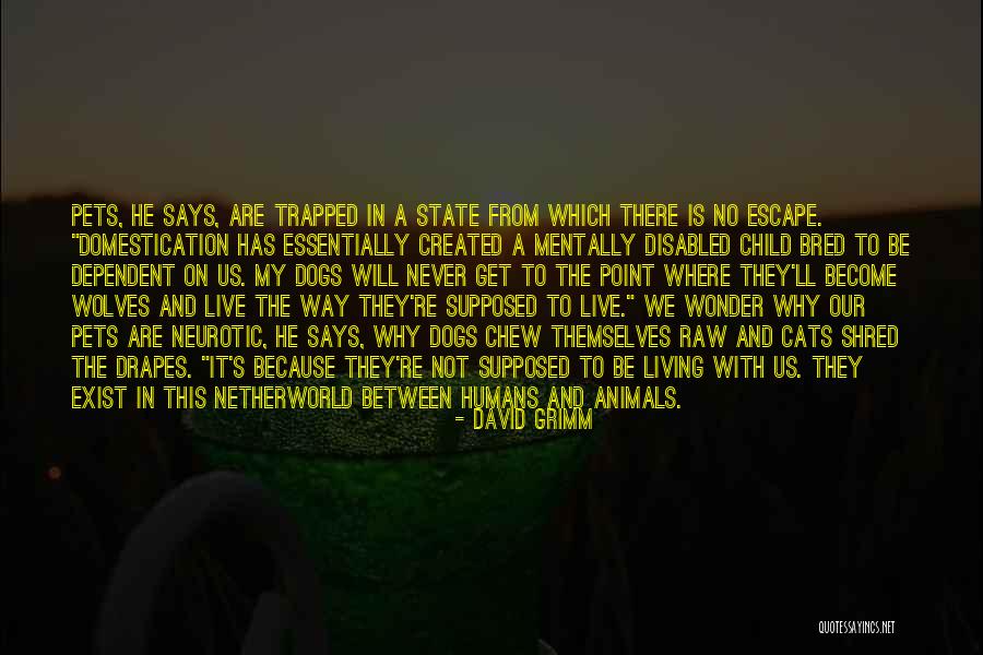 The Dogs And The Wolves Quotes By David Grimm The Dogs And The Wolves Quotes By David Grimm