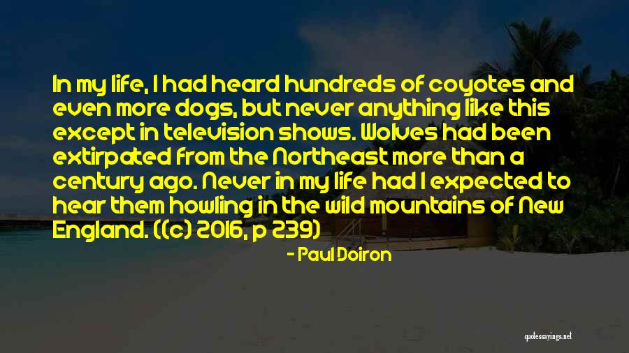 The Dogs And The Wolves Quotes By Paul Doiron The Dogs And The Wolves Quotes By Paul Doiron