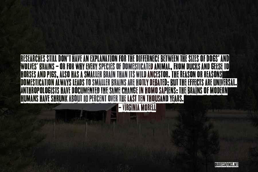 The Dogs And The Wolves Quotes By Virginia Morell The Dogs And The Wolves Quotes By Virginia Morell