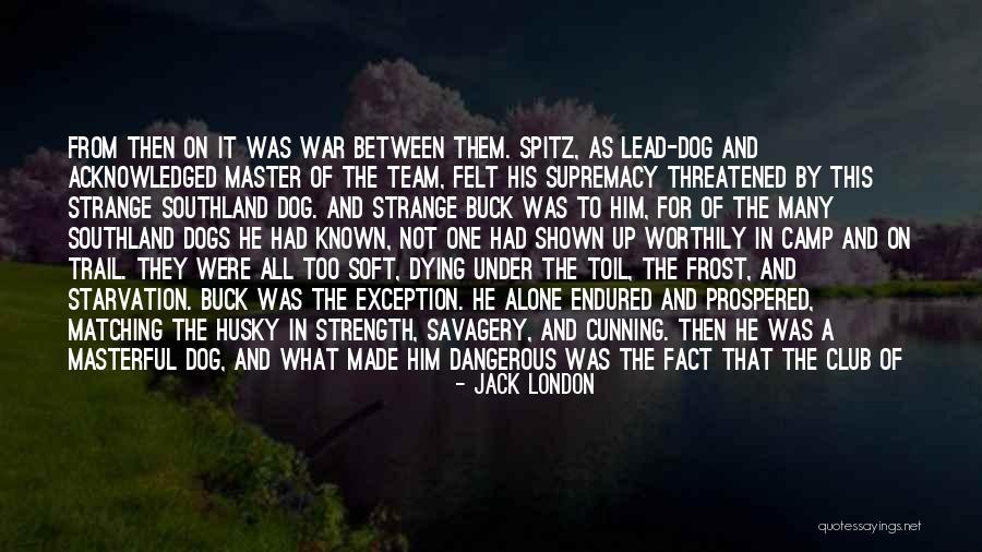 The Dogs Of War Quotes By Jack London