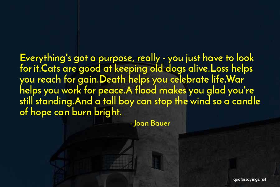 The Dogs Of War Quotes By Joan Bauer